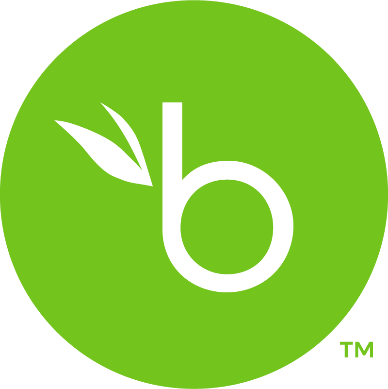 BamboHR Logo
